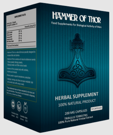 Hammer of Thor سعر Egypt